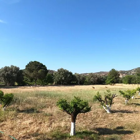 Οργανωμένο κάμπινγκ Canvasvilla Bodrum